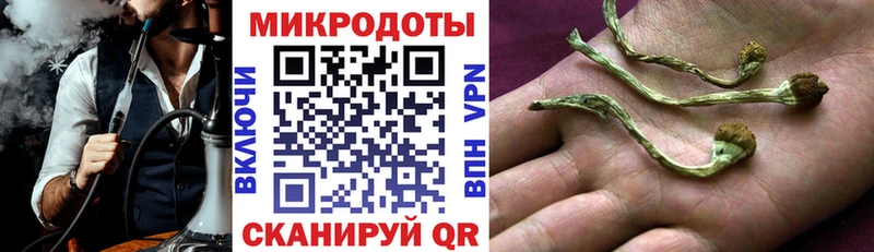 Галлюциногенные грибы Psilocybine cubensis Абаза