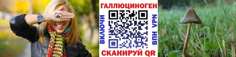 Псилоцибиновые грибы Psilocybine cubensis  где продают наркотики  Абаза 