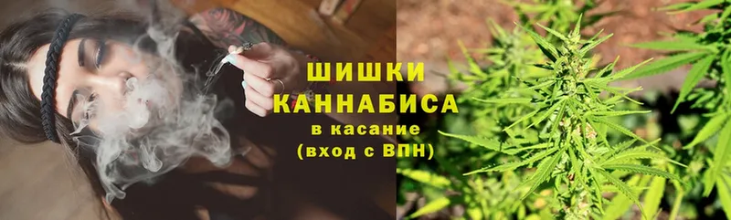 Бошки марихуана сатива  OMG как войти  Абаза 