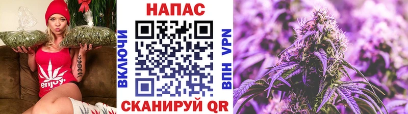 Бошки Шишки план  даркнет сайт  Абаза 